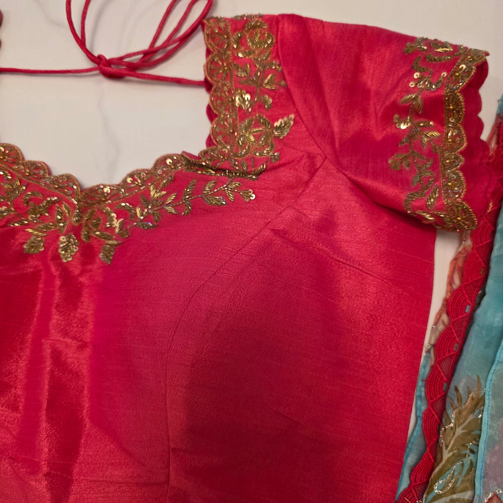 Light Blue Shiny Viscious Organza Saree paied with beautiful Maggam work Blouse