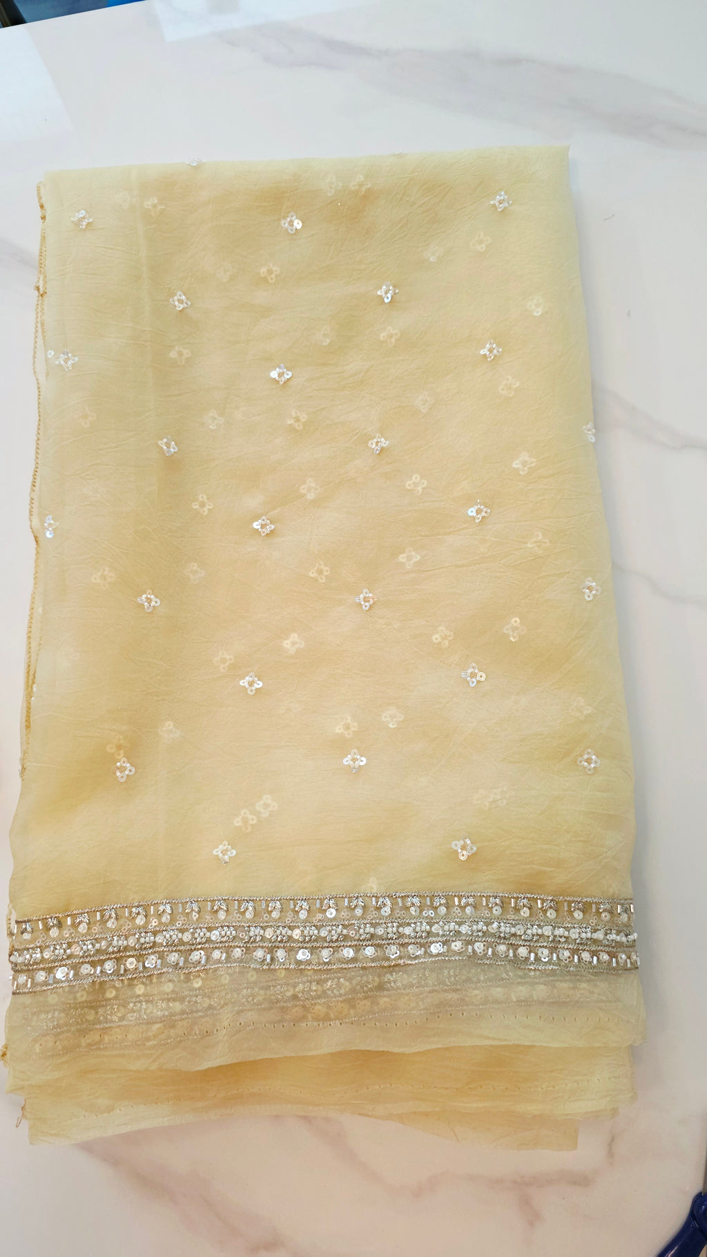 Womens Lightweight Organza Saree With Cutdana Border and Designer Blouse