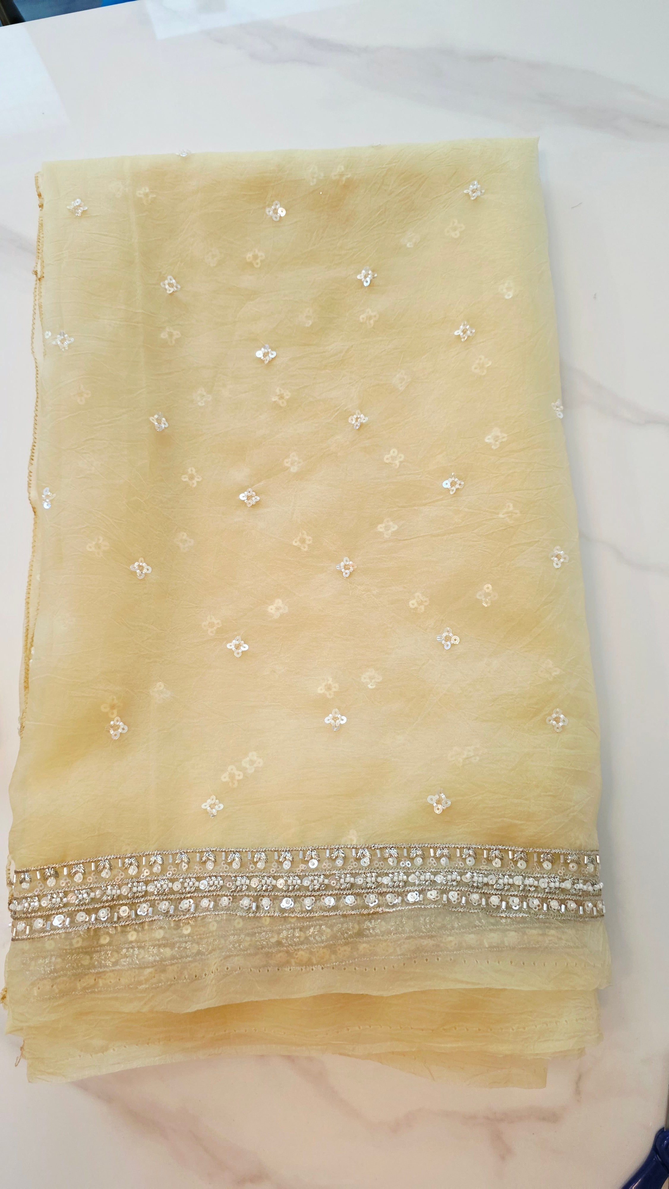 Womens Lightweight Organza Saree With Cutdana Border and Designer Blouse