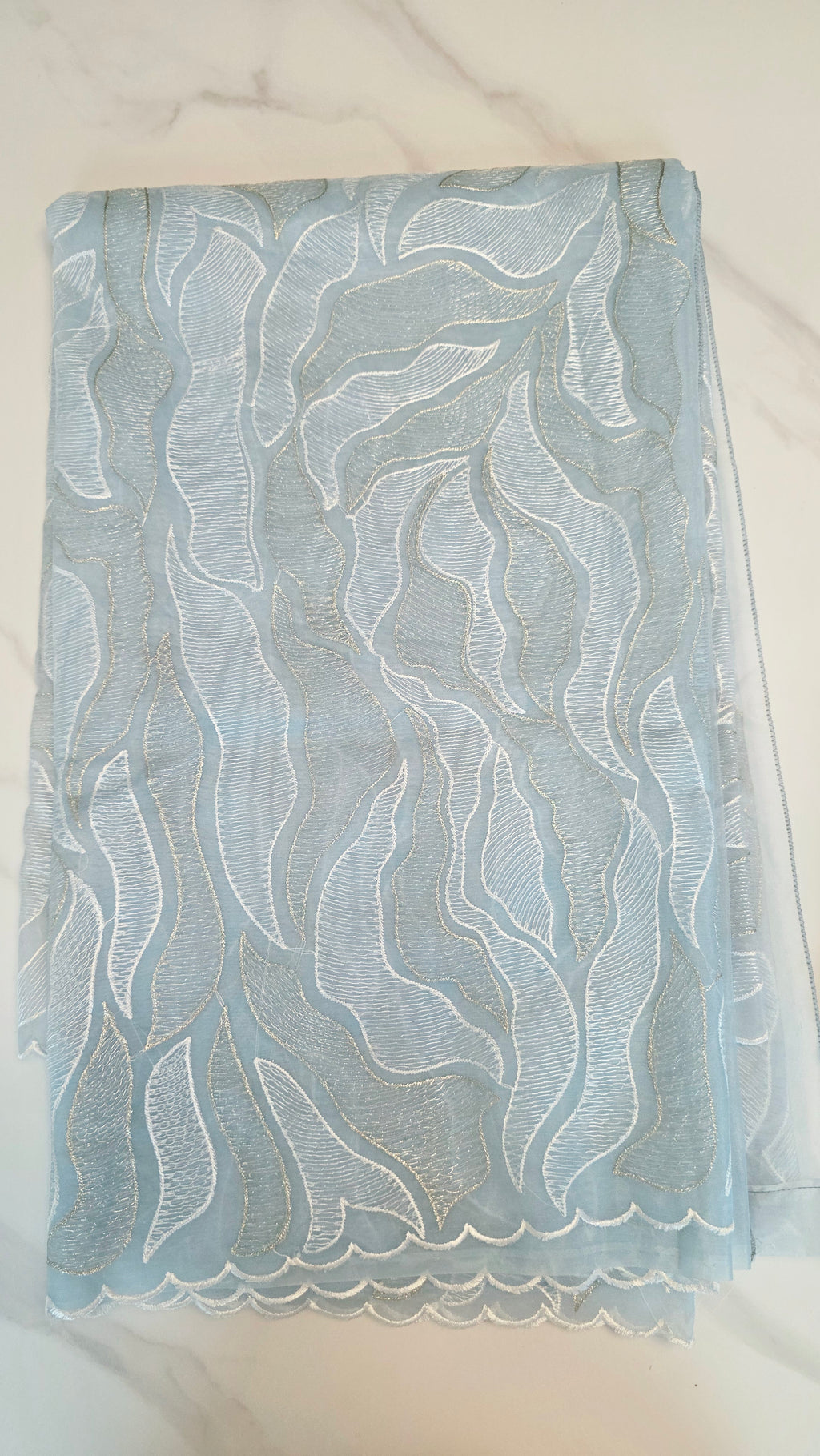 Womens Turkish Organza Sarees With Maggam work blouse