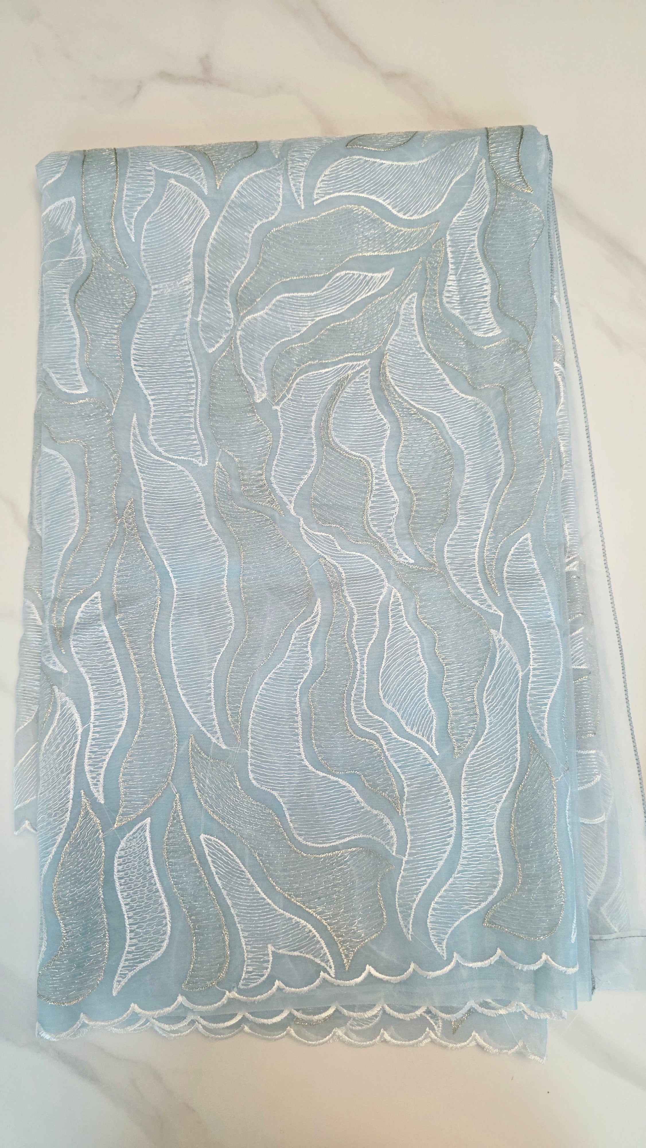 Womens Turkish Organza Sarees With Maggam work blouse