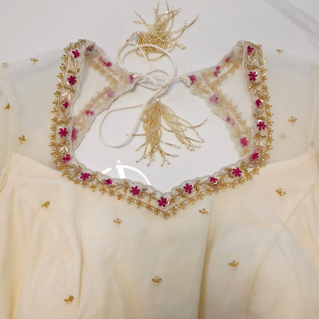 Pink Tissue Saree With Kalamkari Applique Work and Beautiful Net Blouse