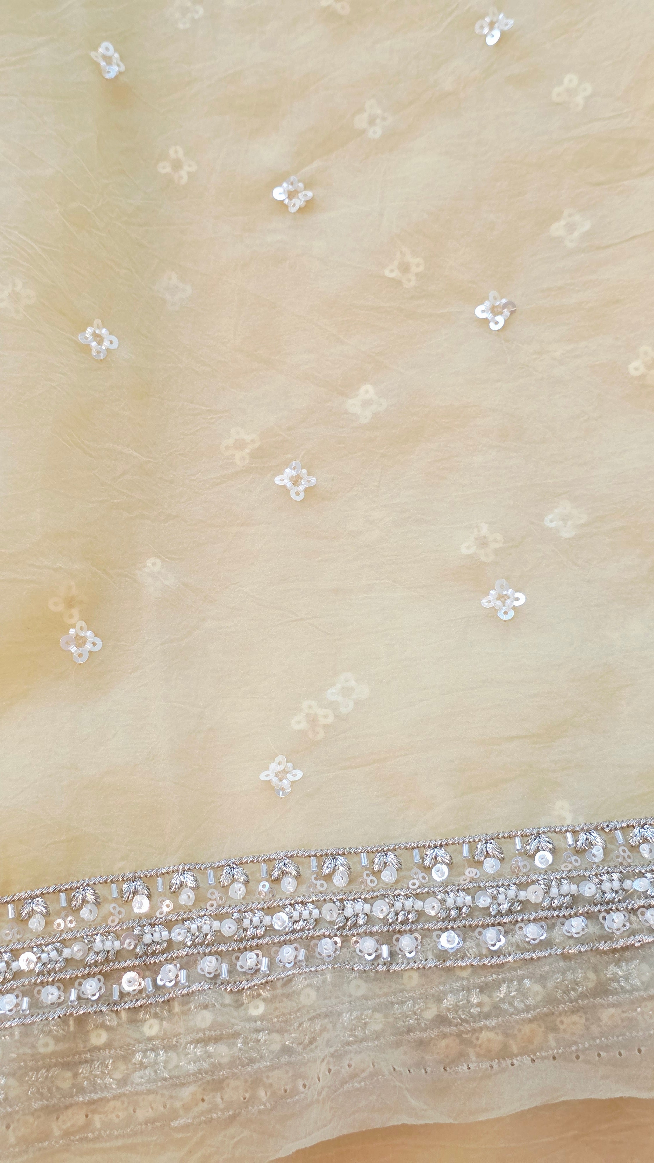Womens Lightweight Organza Saree With Cutdana Border and Designer Blouse