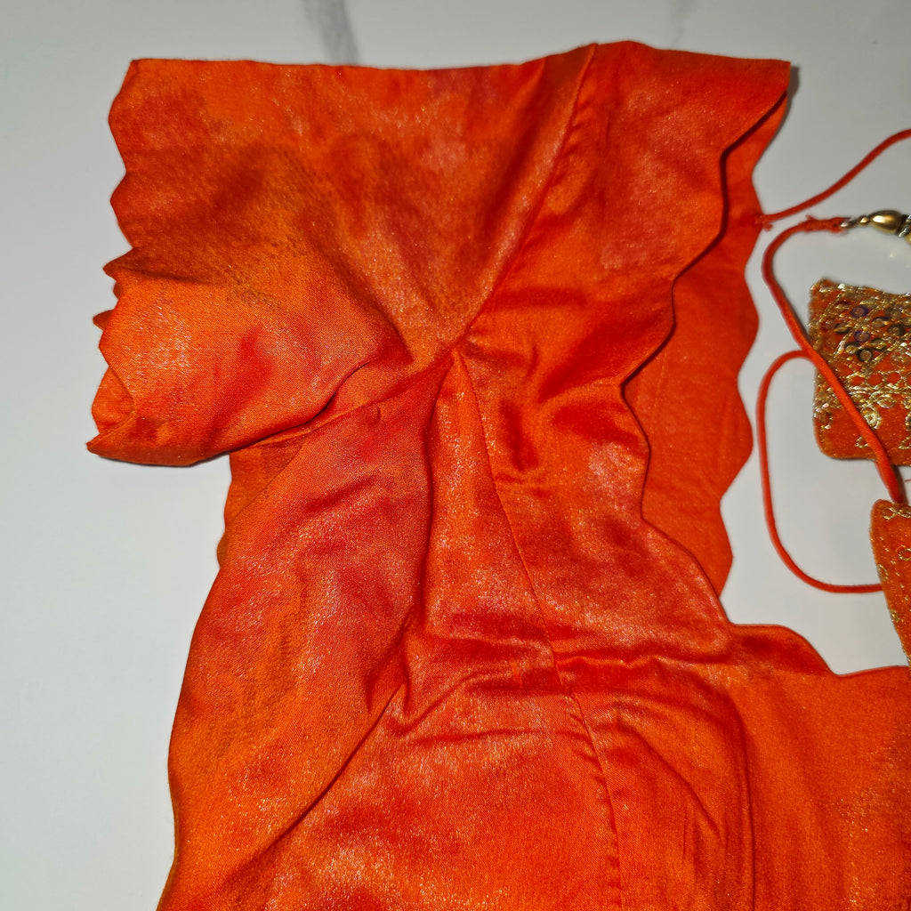 Himmelblaue Organza-Sari mit Blumenpailletten und leuchtend oranger Bluse