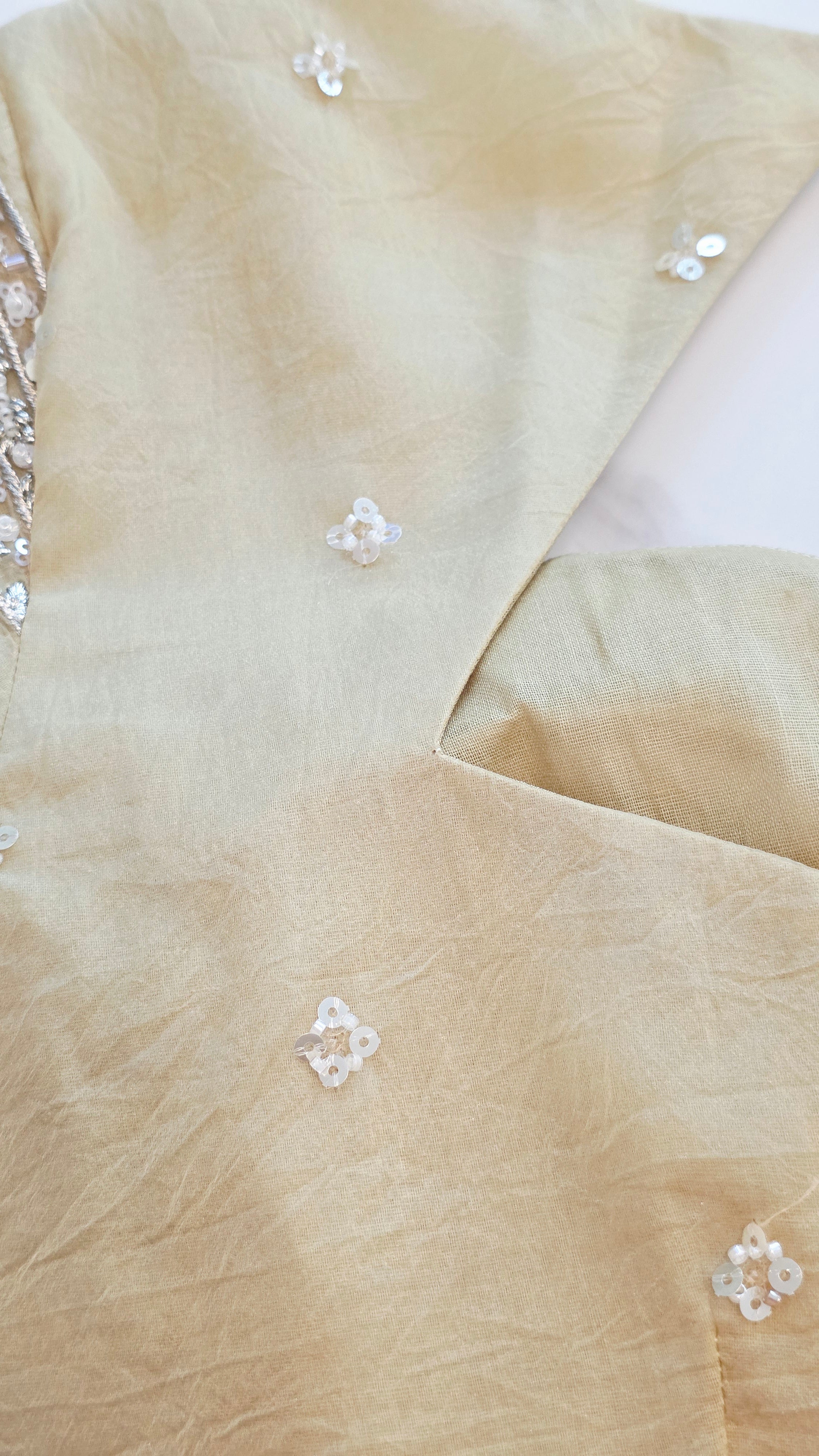 Womens Lightweight Organza Saree With Cutdana Border and Designer Blouse