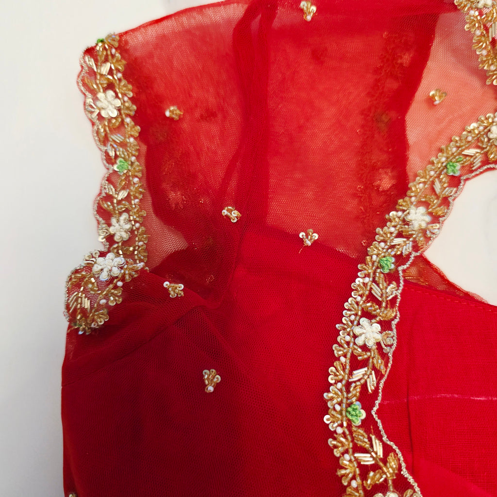 White Viscious Organza Saree with Floral pattern with Net designer Blouse