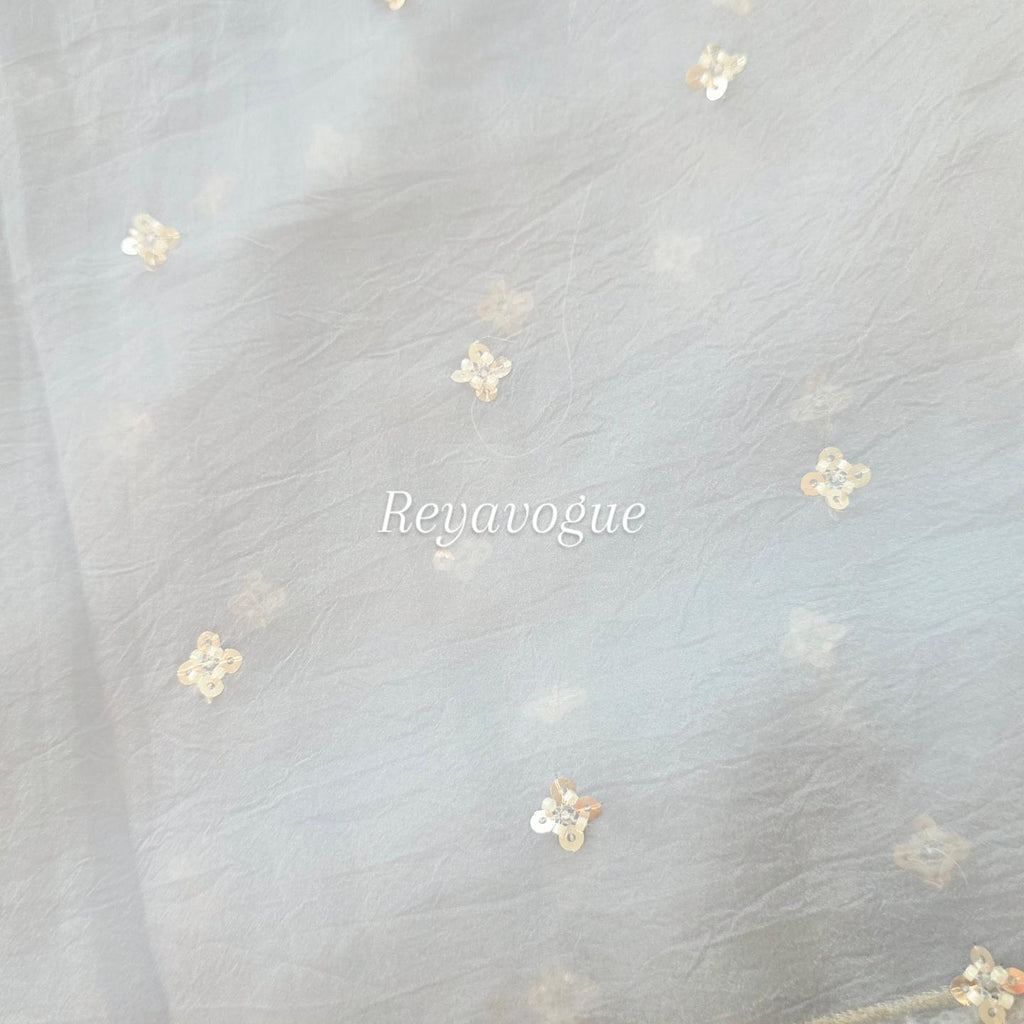 Womens Lightweight Organza Saree With Cutdana Border and Designer Blouse