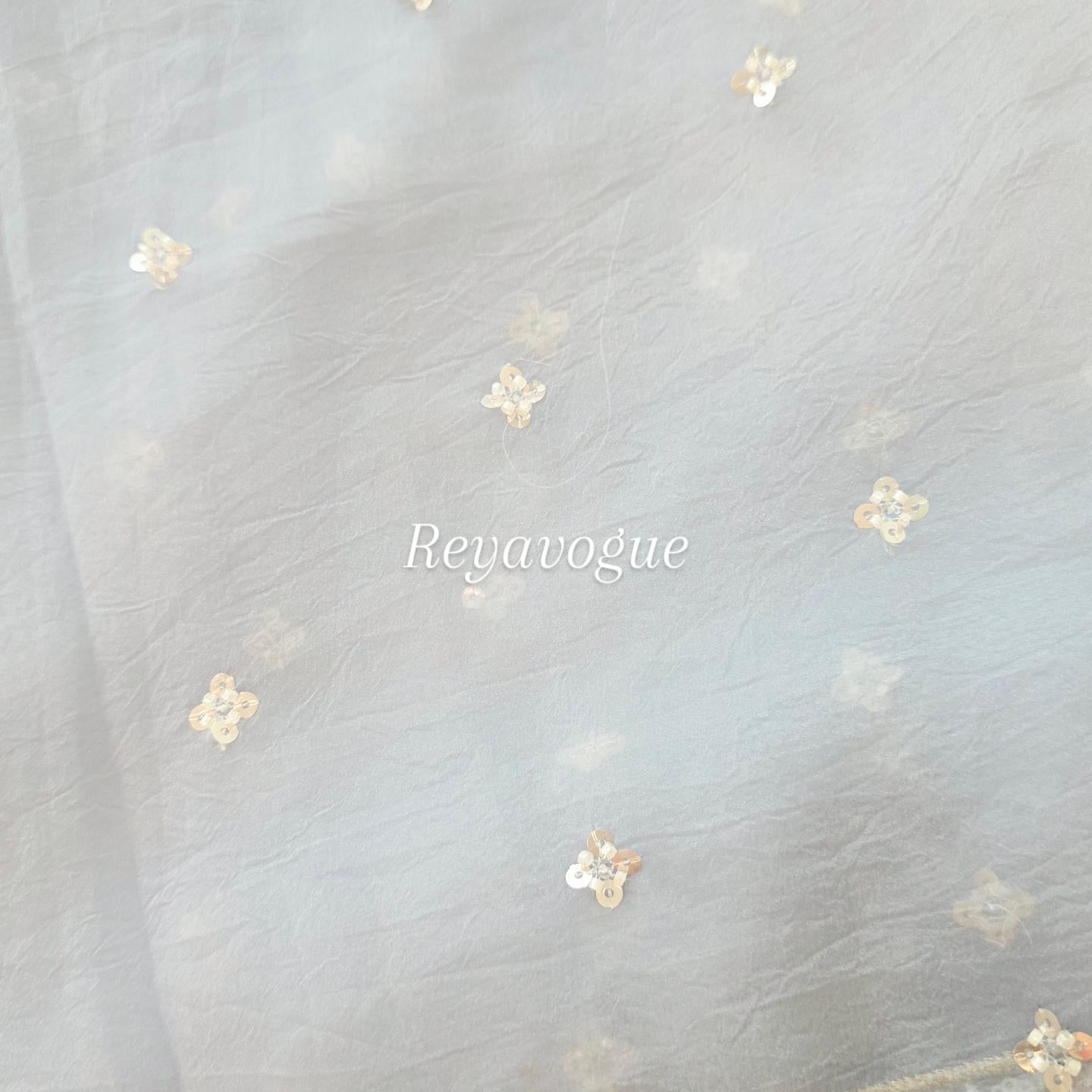 Womens Lightweight Organza Saree With Cutdana Border and Designer Blouse
