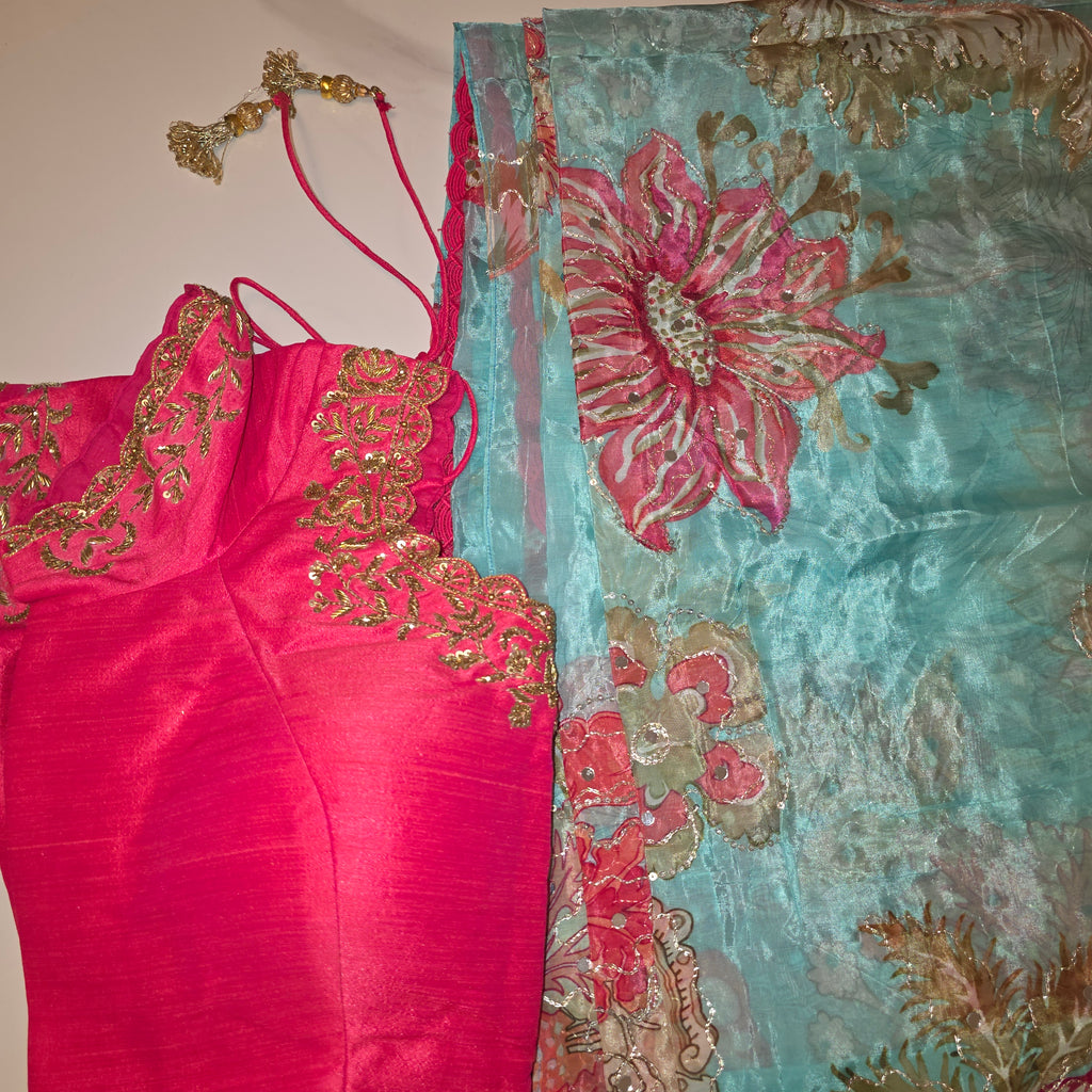 Light Blue Shiny Viscious Organza Saree paied with beautiful Maggam work Blouse