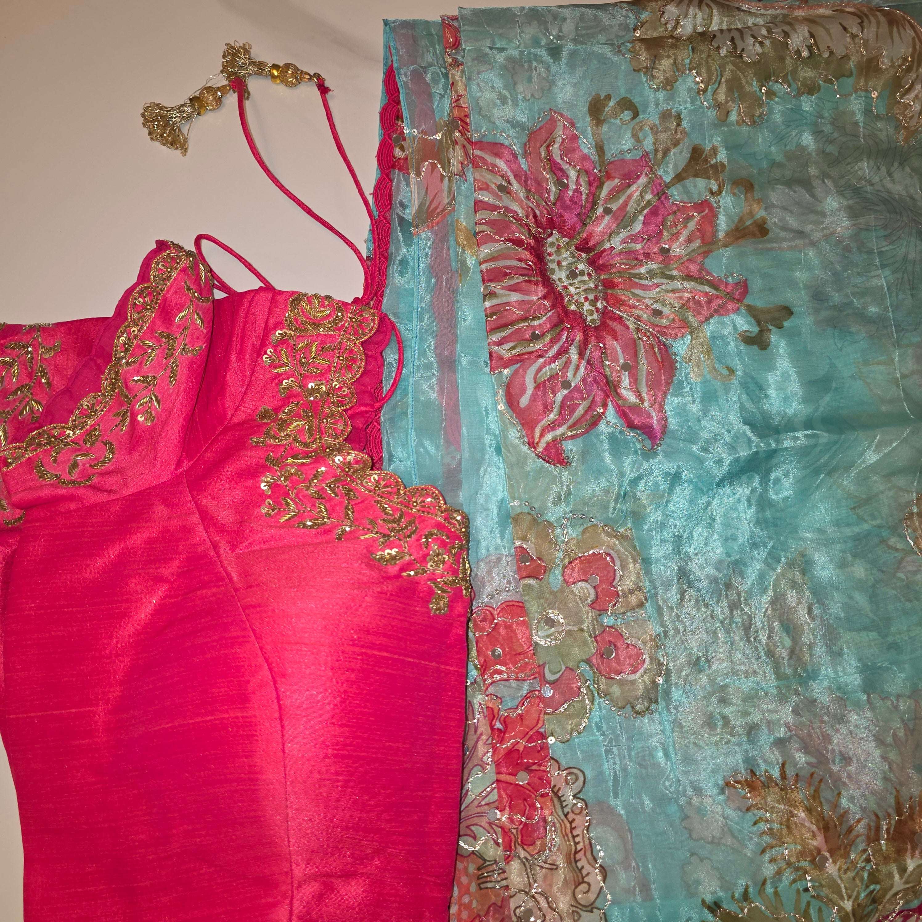 Light Blue Shiny Viscious Organza Saree paied with beautiful Maggam work Blouse